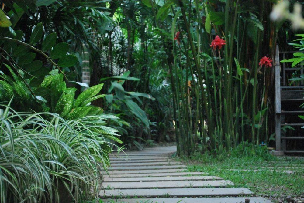 Breeze Of Pai Guesthouse Exterior photo